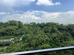 Normanton Park (D5), Apartment #557295981